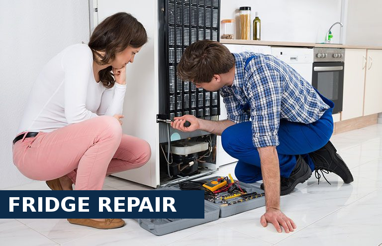 Fridge Repair Putney